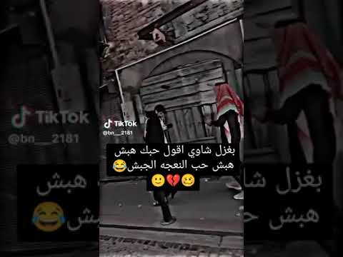 بغزل شاوي اقول حبك هبش هبش حب النعجه الجبش