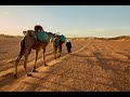 Morocco Series Part 1: M’Hamid, Last Village Before Sahara 🇲🇦