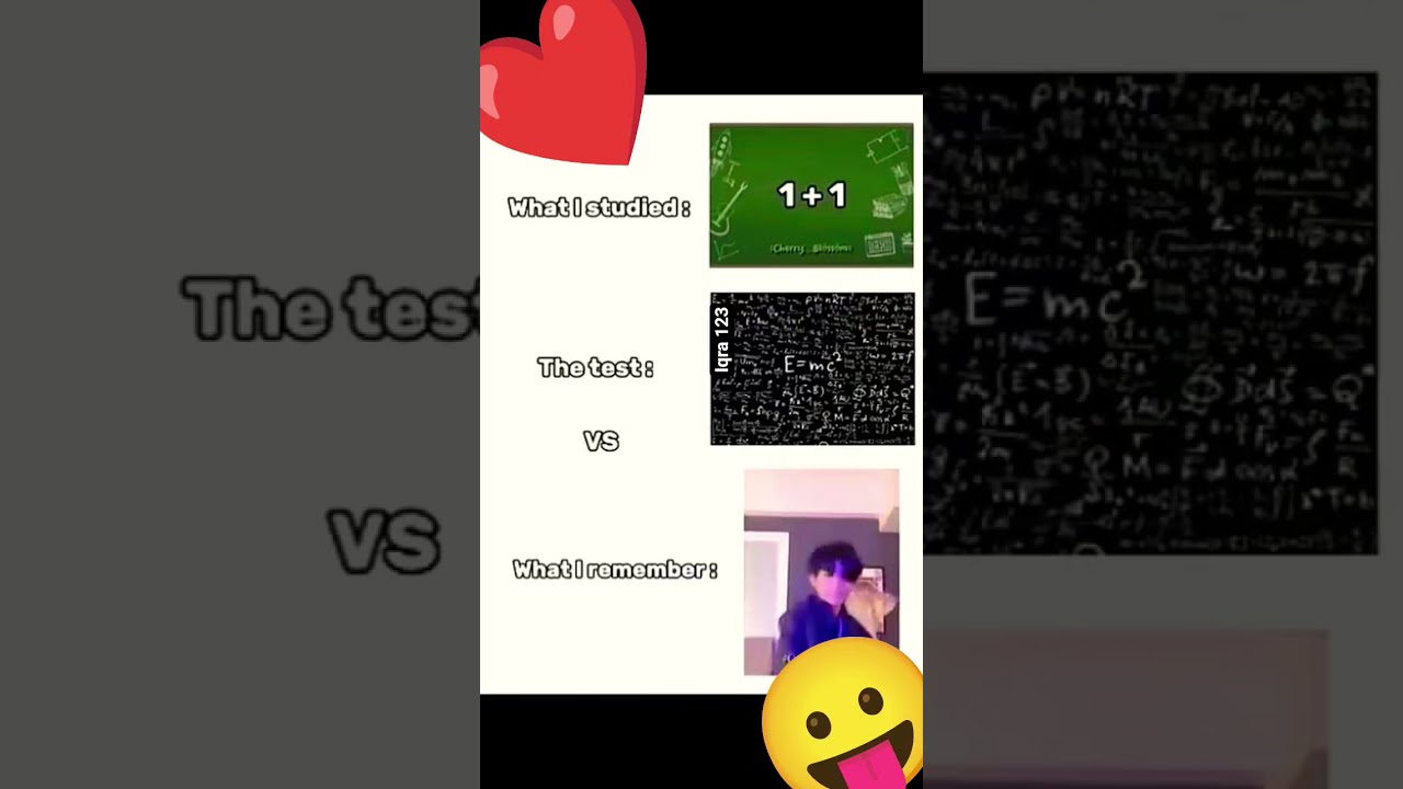 What I Studied 1 The Test Vs Remember 