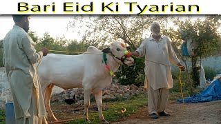 Eid Ki Tyarian | Blog In My Beautifull Village | Qurbani On Eid Ul Azha | FULL WATCH |