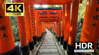 【4K HDR】Fushimi Inari Shrine in Kyoto: All 10,000 Gates Explored