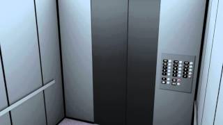 Elevator Music - So Chill chords