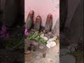 #भूमि का ##भूमिया# देवा  ##Viral ##video ##🙏🏻🙏🏻