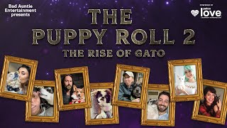 The Puppy Roll 2: The Rise of Gato 🐾 | Live Charity D\&D Game Benefiting Petco Love \& Petco Love Lost
