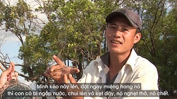 Về Đất Mũi săn cá thòi lòi