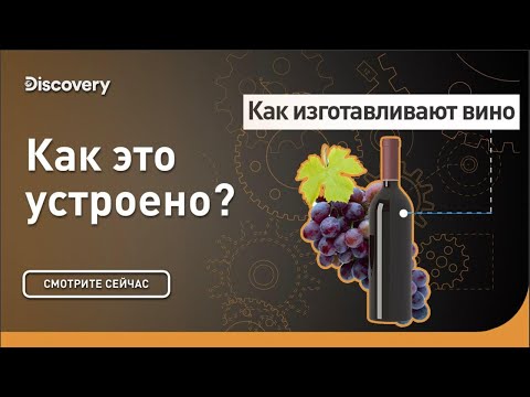 Видео: Что такое кулинарное вино Сотерн?