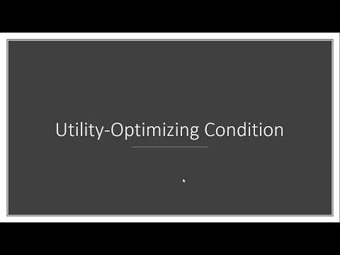 Utility-Maximizing Condition: Example Problem