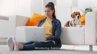 AM6100 multi Parameter Bluetooth Veterinary Patient Monitor Medical Device Equipment