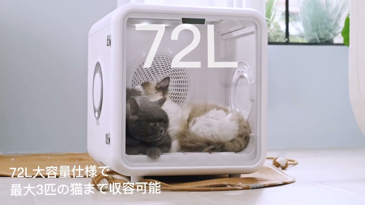 ペット ドライ ルーム，ペット乾燥機 72L大容量 犬猫兼用 | Petaboo
