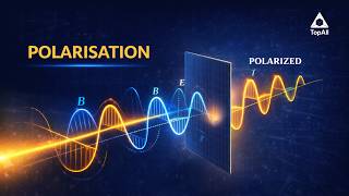 Polarisation Explained Simply | Class 12 Physics | Chapter 10 | Wave Optics!