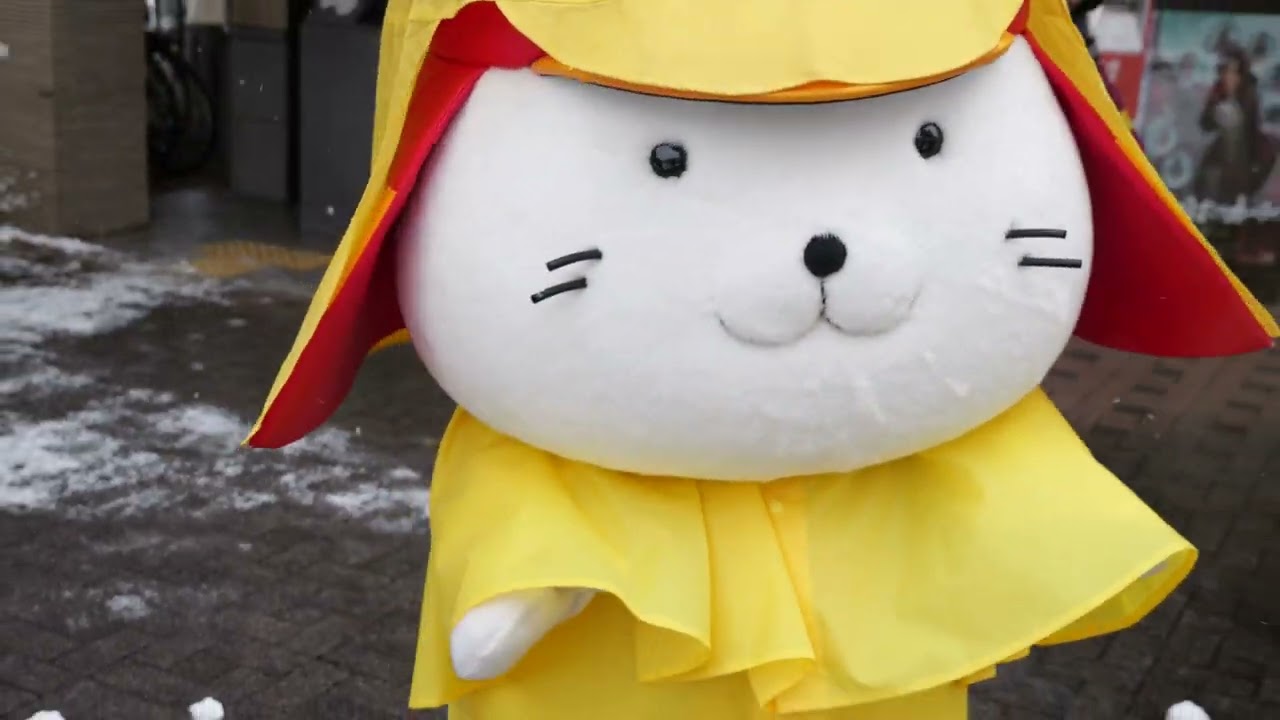 ひこにゃん@四番町スクエア_3 2026.01.25