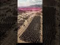 Yenilmez Mızrak Duvarının Çöküşü: Kynoskefalai MÖ 197 ⚔️🛡️