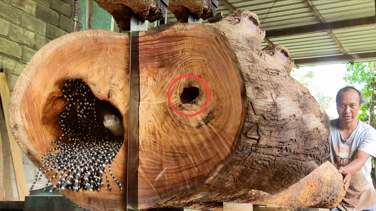 Wood Strength Test: How Strong Is It Before It Breaks in a Brutal Attack at a Sawmill