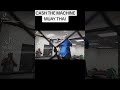CASH THE MACHINE #mmafighting #combatsport #mma #jiujitsu #wrestling #fightingsport