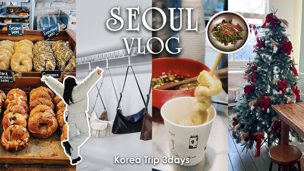 [ 韓国vlog ] 念願の初韓国🇰🇷ソウル2泊3日┊冬の韓国┊東大門,明洞,安国,聖水,江南,狎鴎亭ロデオ┊ジンくんセンイル🐹🎂꙳⋆┊ユッケビビンバ┊爆買い🛍️女子旅┊4K [ SUB/KOR ]