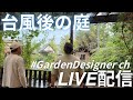 緊急LIVE配信🚨台風大丈夫⁉️台風後の庭についてGarden Designer ch グリーンギャラリーガーデンズ がライブ配信中!