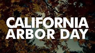 What is Arbor Day?