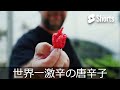 世界一激辛の唐辛子