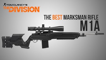 The Division Weapon Guide - M1A Remake (Statistics, Mods, Talents and Set-Up)