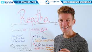 How Does Repatha (Evolocumab) Work to Lower Cholesterol?