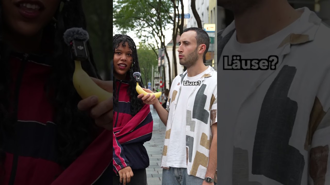 Nenne 3 TIERE mit Ä✌️