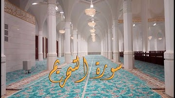سورة التحريم بصوت القارئ ياسين الجزائري - Sourat At-Tahrim Yassin Al Jazairi