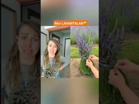 Herşey boşuna mıydı?🤣🤪🫨