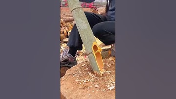 Simple Super Sharp Smart Tool To Cut Bamboo Easily And Quickly #shorts