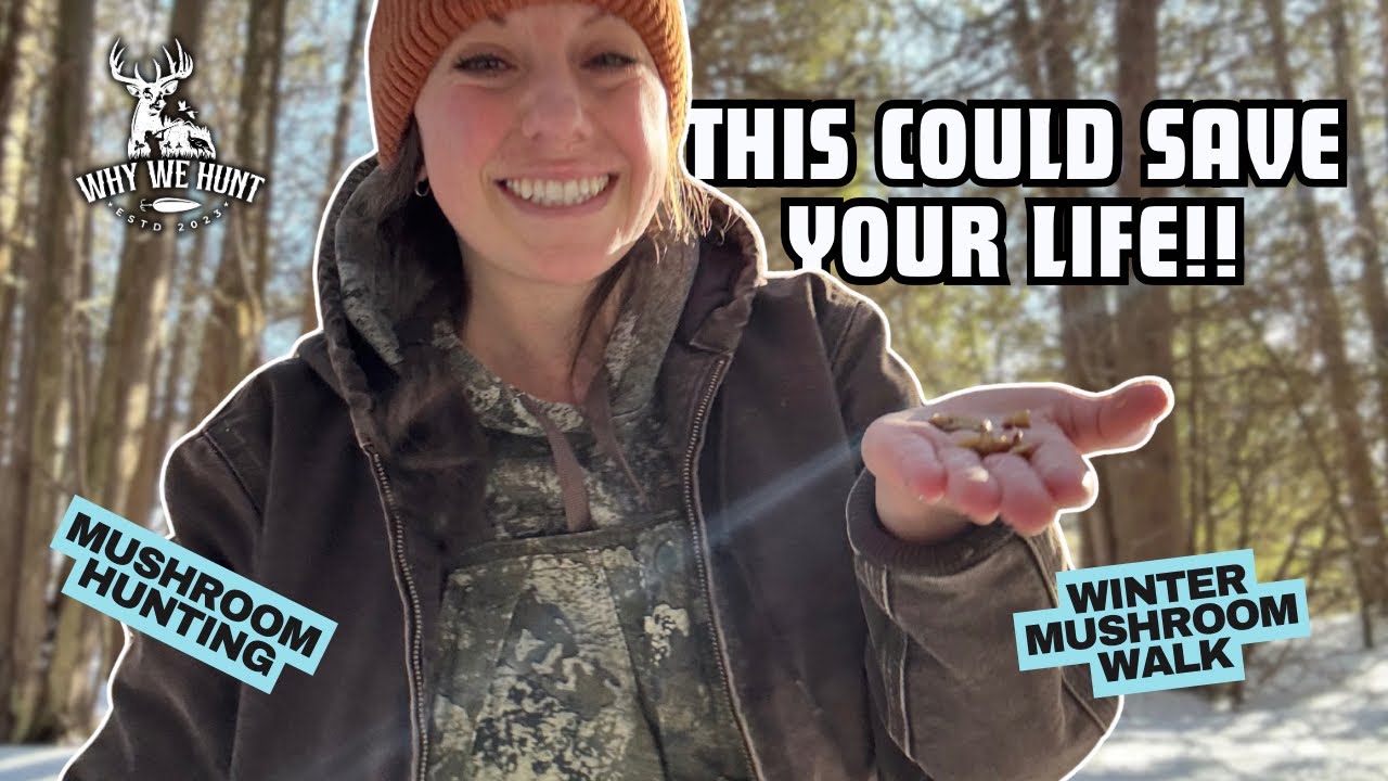 Печать спор + прогулка по сбору зимних грибов | Почему мы занимаемся поиском грибов