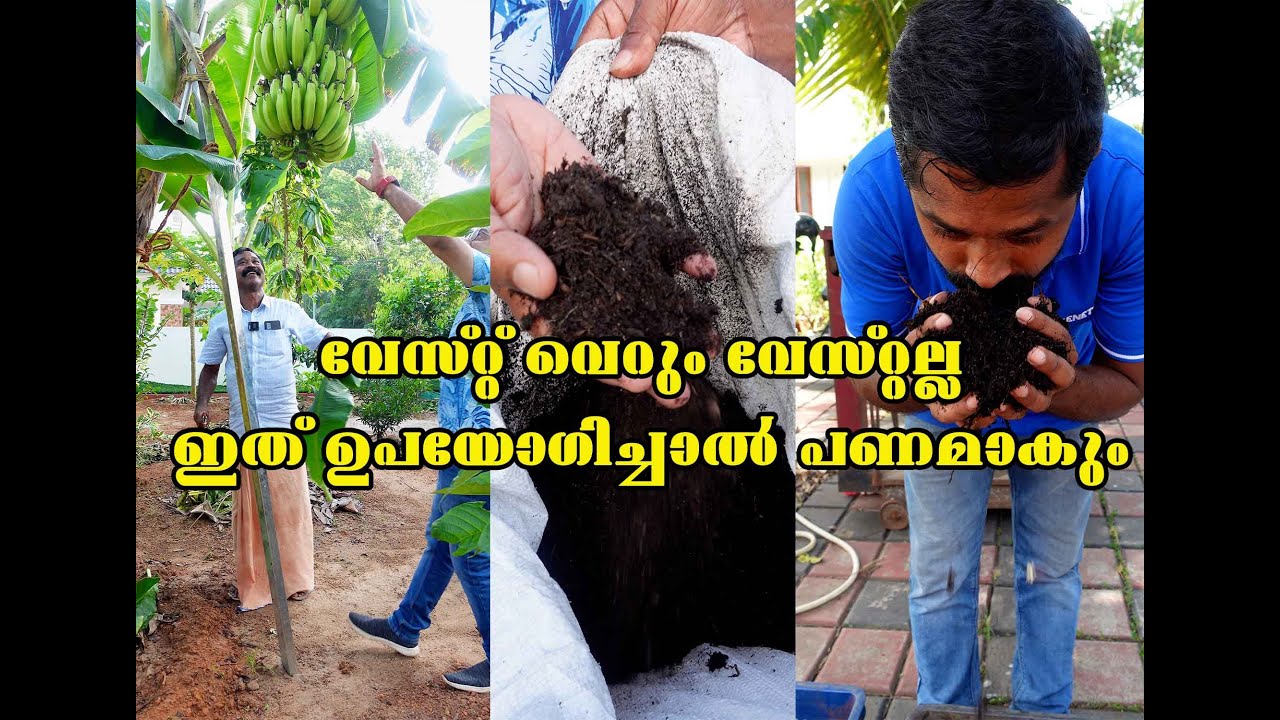 വേസ്റ്റ് വെറും വേസ്റ്റല്ല ഇത് ഉപയോഗിച്ചാൽ പണമാകും