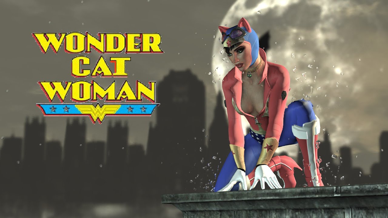 SKIN; Batman; Arkham City; Wonder Cat Woman