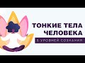 Тонкие тела человека. 5 уровней сознания человека.