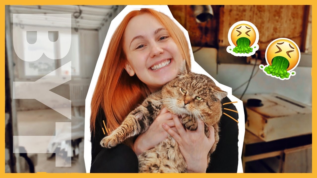 VLASTNÍ BYT? Rekonstrukce, poprvé o škole, pád do Vltavy a kocour?! … | NATYLA