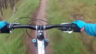 Glenlivet Mountain Bike Trail Centre Scotland. Red with Black sections
