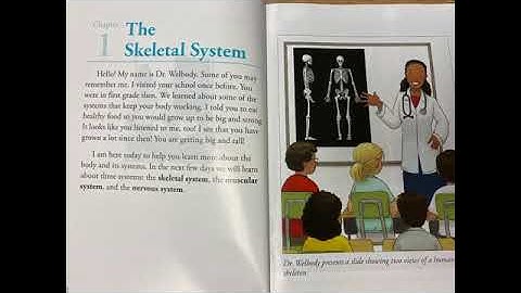 The Skeletal System