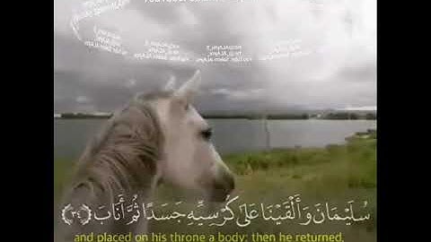 القارئ/ رعد الكردي - وَوَهَبْنَا لِدَاوُودَ سُلَيْمَانَ ۚ نِعْمَ الْعَبْدُ ۖ إِنَّهُ أَوَّابٌ