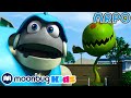 Fearsome Flora | Moonbug Kids TV Shows - Full Episodes | Cartoons For Kids