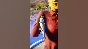 Great Catch 