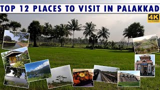 Palakkad | Top 12 Places to Visit in Palakkad | Palakkad Places to Visit | Palakkad Tourist Places