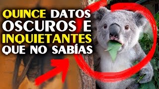 (TOP) 15 Datos Oscuros e inquietantes que no conocías | Rarotopía.