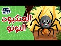 العنكبوت النونو خطفت قلبه العنكبوتة 