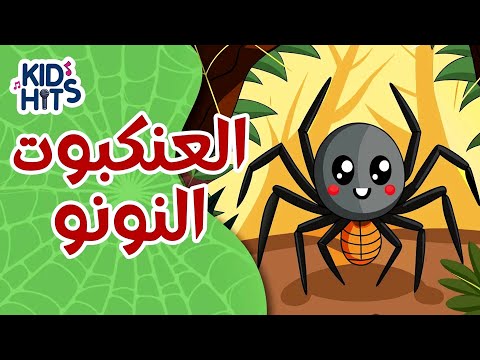العنكبوت النونو خطفت قلبه العنكبوتة