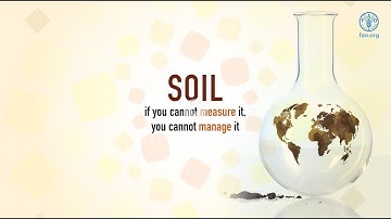 THE GLOBAL SOIL LABORATORY NETWORK: 5 years of bringing soil laboratories to the forefront