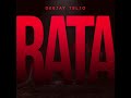 Capture de la vidéo Deejay Telio - Rata  (Áudio Oficial)