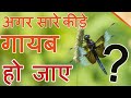 क्या होगा अगर सारे कीड़े गायब हो गए | What If All Insects Disappeared From the Planet?