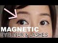 Magnetic Lashes? | Worth The Hype?