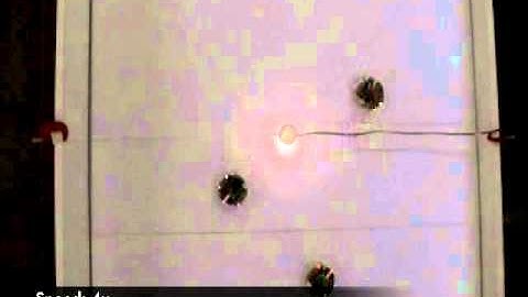 Evolving coordinated group behaviours through maximisation of mean mutual information