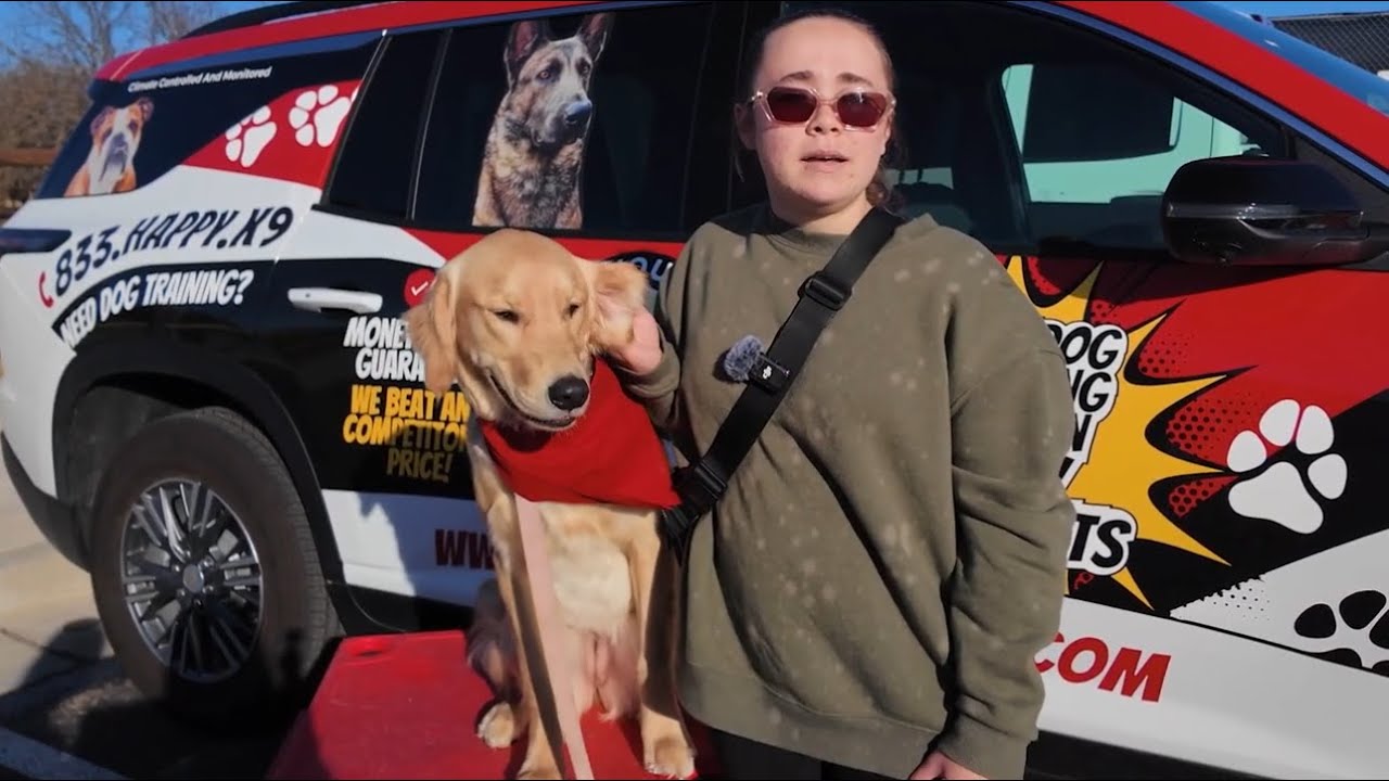 Ogden Utah Dog Training | Salt Lake City Dog Training | “It is a commitment for life"