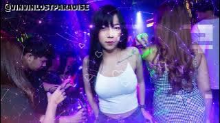 DJ AK` Remix⏩『2023快摇』經典傷感快搖歌曲►【怨天怨地 ✘ 秋風落葉 ✘ 你的選擇 ✘ 來生不分手 ✘ 不願再等候】| VinVin Lost Paradise Release