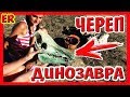 VLOG:  НАШЛИ ДИНОЗАВРА / Едем на МОРЕ / отдых в Крыму / видно Керченский мост / vredina / AESY ROSE